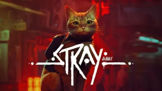 Jeux vidéo découverte Grand format « Stray »