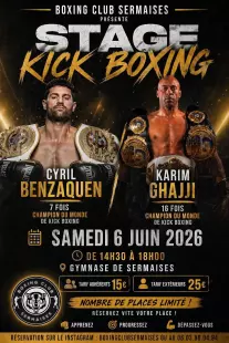 stage kick boxing