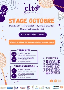 Stage de Badminton pour débutants