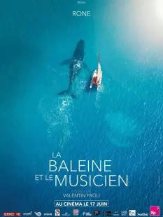 Cinéma : La baleine et le musicien