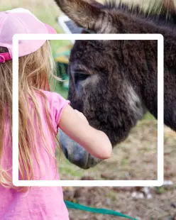 Balade d'avril avec les Zânes