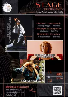 Stage de danse hip hop, chansigne et classique