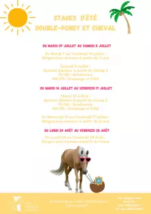 Stages d'équitation double poney et cheval au Cercle Hippique d'Olivet