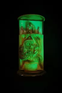 Le MOBE fête Halloween