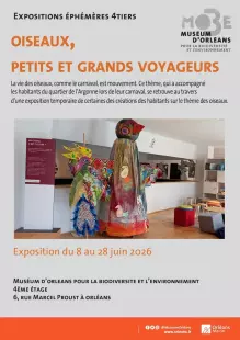 Oiseaux, petits et grands voyageurs