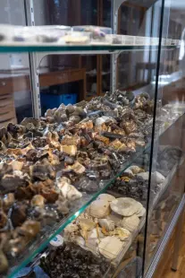 Visites libres des collections du musée