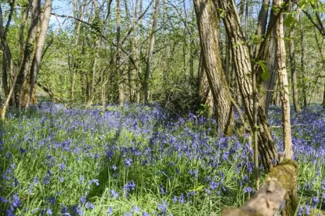 A la découverte des traces et empreintes du Donjon