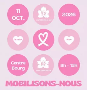 Octobre Rose à Saint-Denis-en-Val