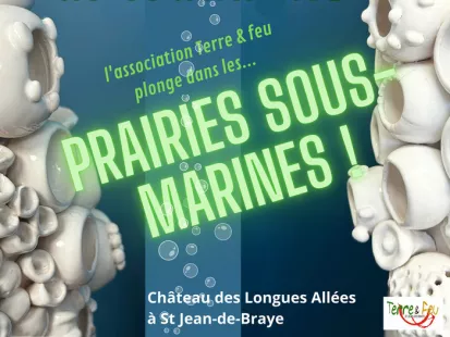 Prairies Sous Marines