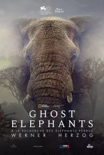 Cinéma : Ghost elephants