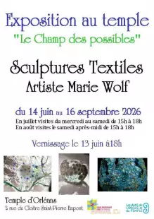 Marie Wolf « Le champ des possibles »