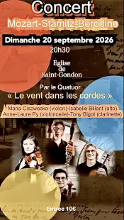 Concert - Mozart-Stamitz-Borodine