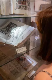 Visite libre des collections du musée