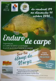 Enduro de carpe