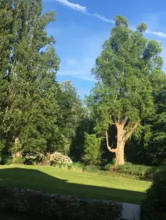 Visite libre du parc et des bords de rivière