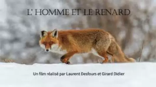 L'Homme et le Renard