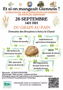 Du grain au pain