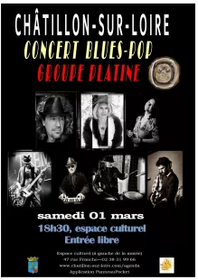 Concert du groupe 