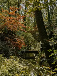 Les colories d'automne à l'Arboretum d'Ilex