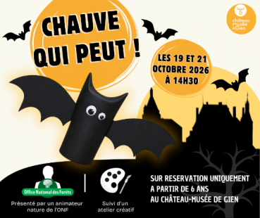 Animation/Atelier créatif : 