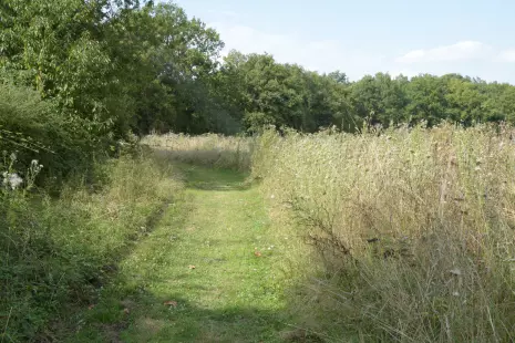Atelier Tataki-zomé