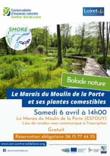 Balade nature : Le Marais du Moulin de la Porte et ses plantes comestibles