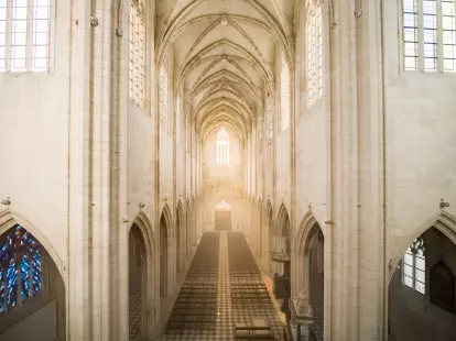 Visite flash de la Basilique Notre-Dame de Cléry
