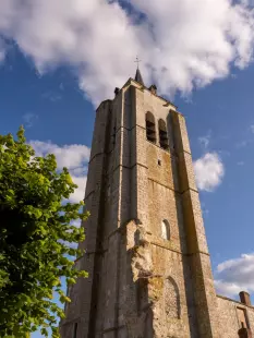Descente en rappel et visite du clocher Saint-Firmin