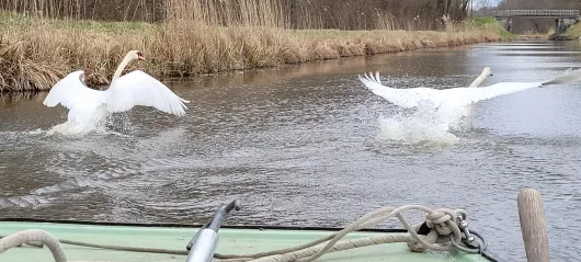 Balades commentées en bateau électrique NOUVEAU ET INSOLITE