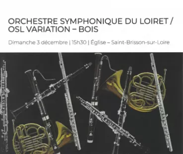 Orchestre Symphonique Du Loiret / OSL variation - Bois