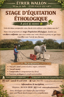 STAGE D'EQUITATION ETHOLOGIQUE