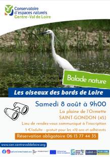 Balade nature : Les oiseaux des bords de Loire