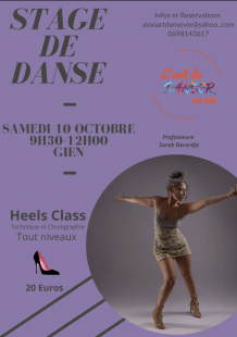 Stage de danse