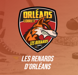 Match de Hockey sur glace - Les Renards d'Orléans