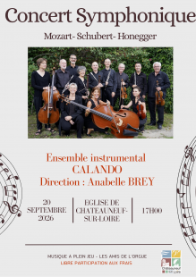 Concert symphonique