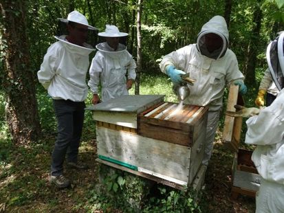 Journée d’initiation à l’apiculture