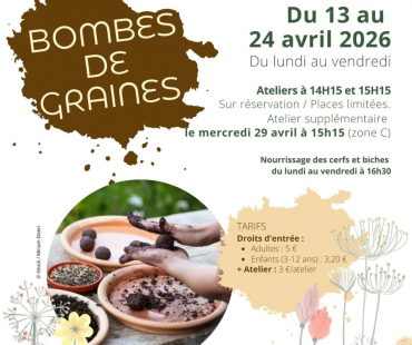Bombes de graines