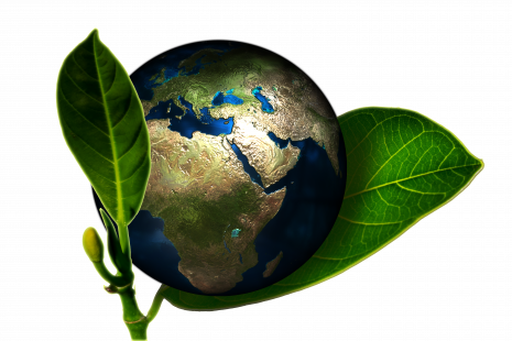 La Fresque du Climat : Comprendre et Agir