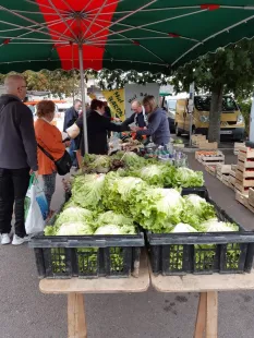 Fay-aux-Loges Market
