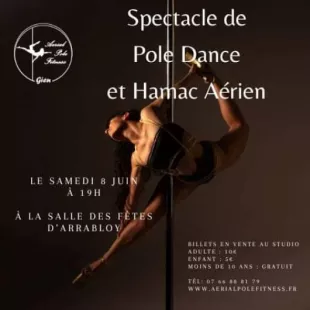 Spectacle de Pole Dance et Hamac Aérien