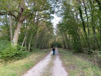 Tous en forêt d'Orléans !