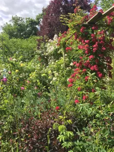 Atelier Alternative aux pesticides.