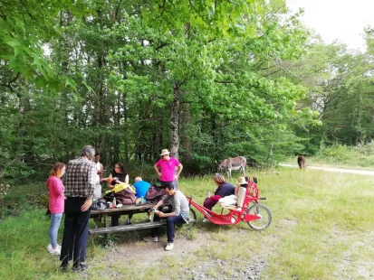 Randonnée accompagnée avec les ânes