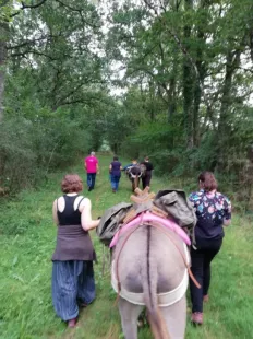 Balades et randonnées avec un âne