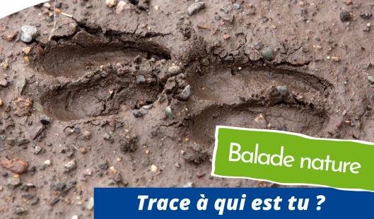 Trace à qui es-tu ?