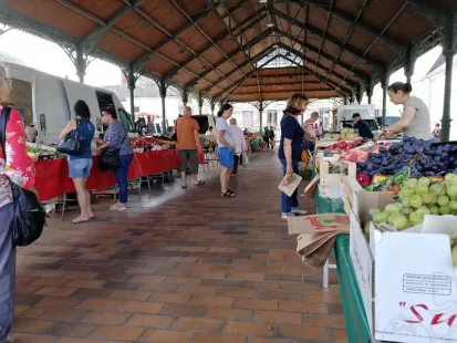 Jargeau Market