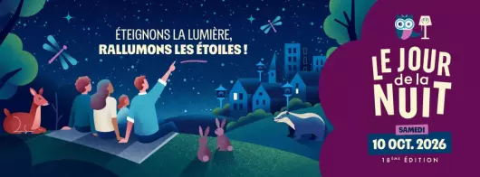 Balade crépusculaire dans les marais