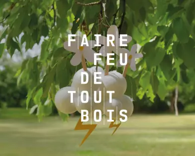 Faire feu de tout bois