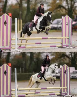CONCOURS EQUITATION CSO ET DRESSAGE