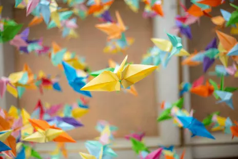 Atelier de pratique artistique | Origami